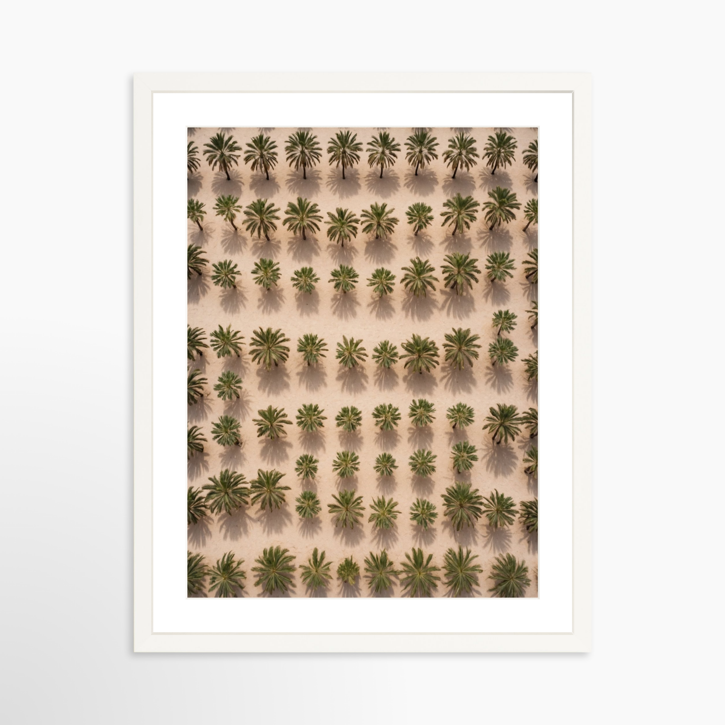 24 x 30 / White