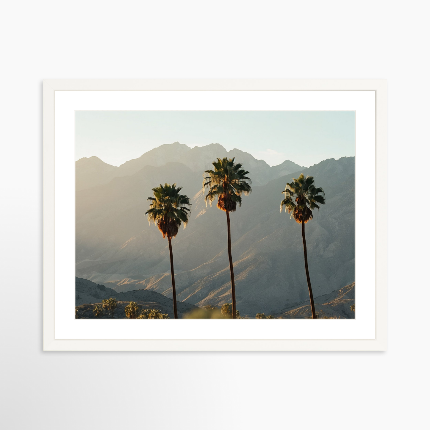 30 x 24 / White