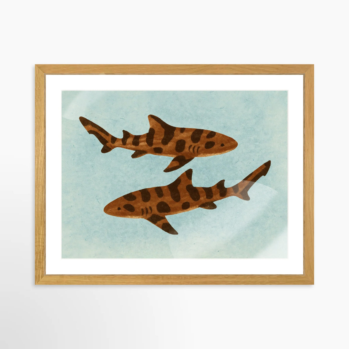Leopard Sharks