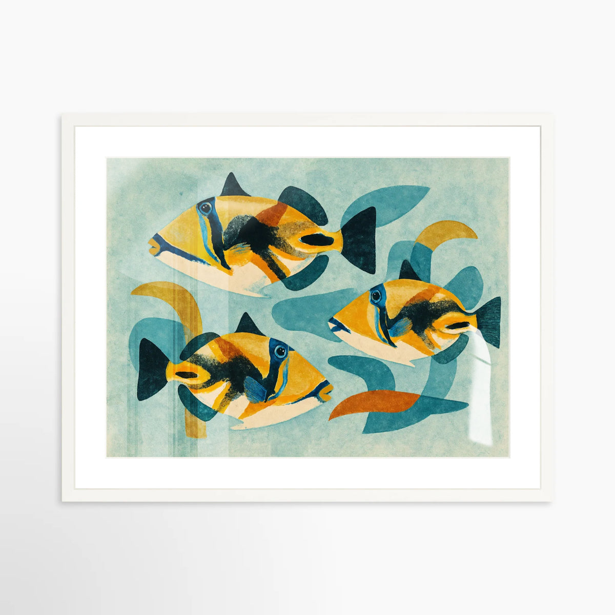 Triggerfish