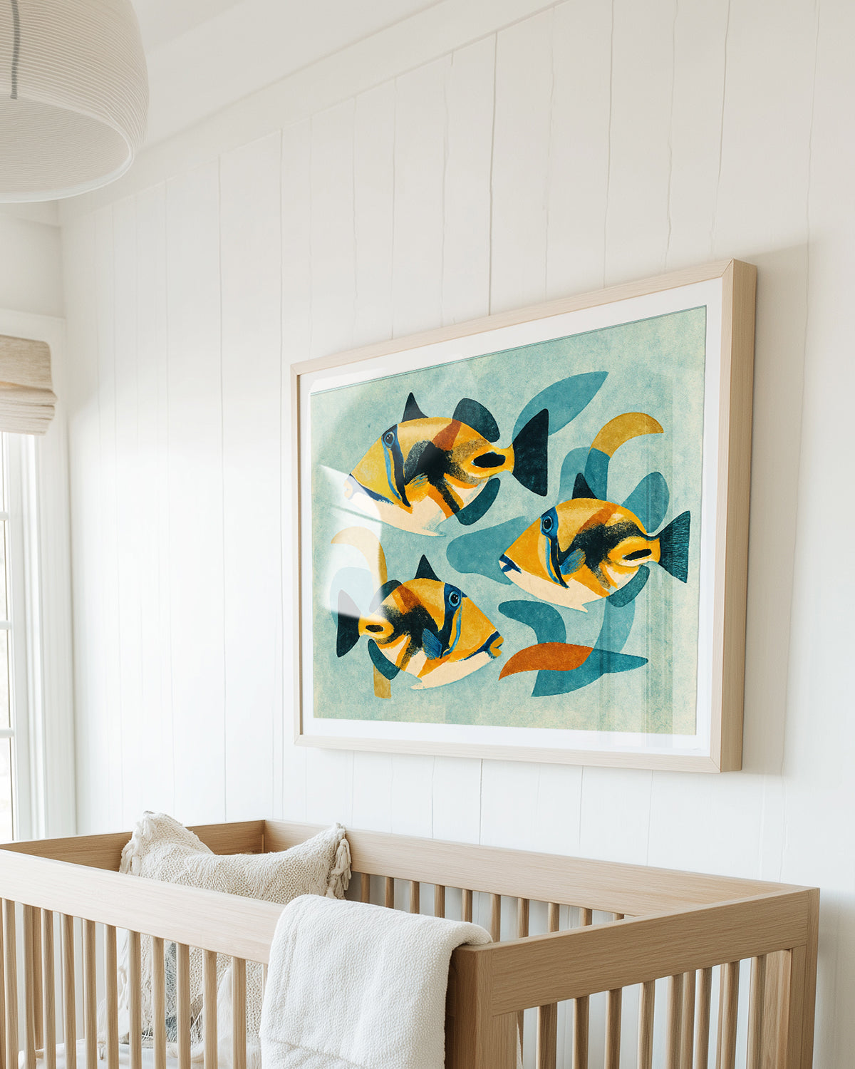 Triggerfish