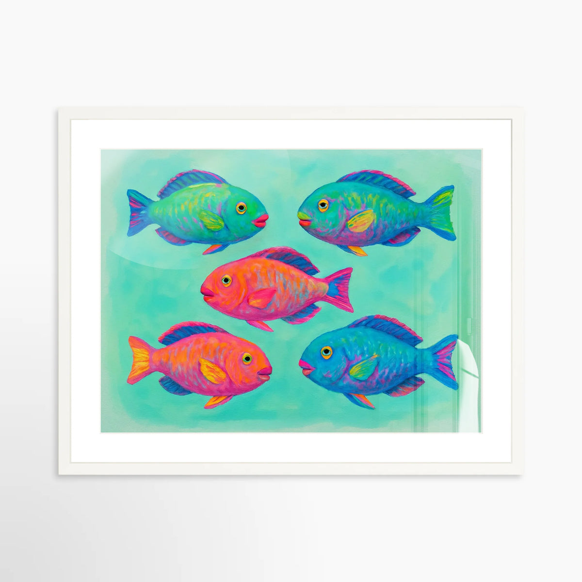 Parrotfish