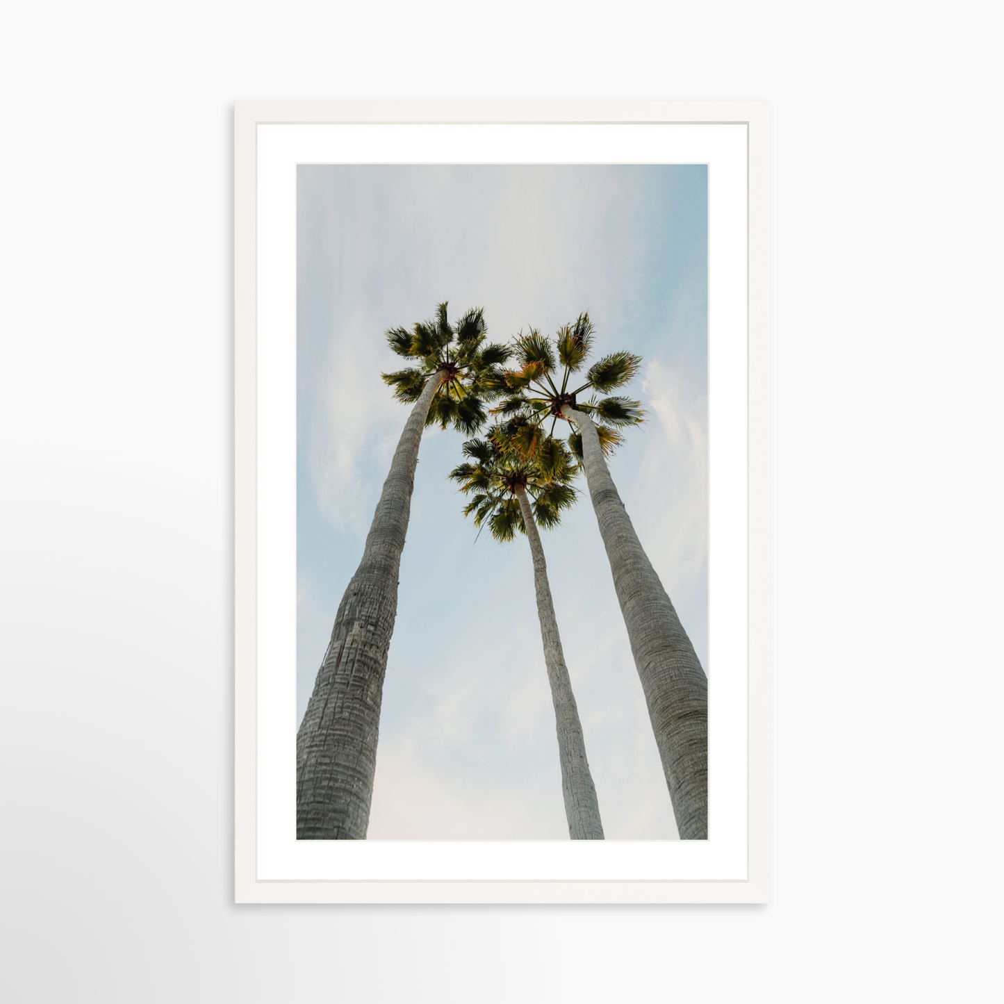 Medium 24 x 36 / White