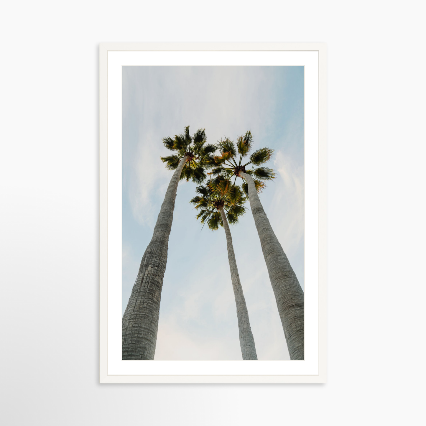 Large 28 x 42 / White