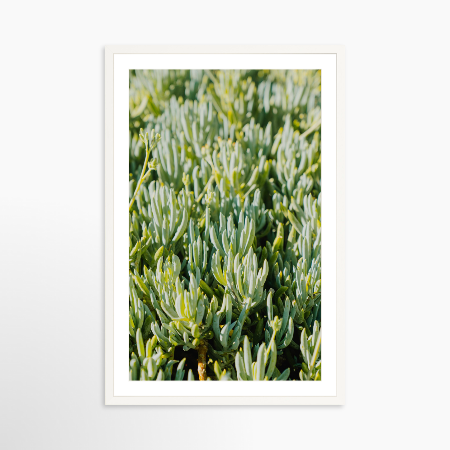 Large 28 x 42 / White