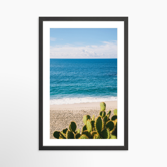 Medium 24 x 36 / Black