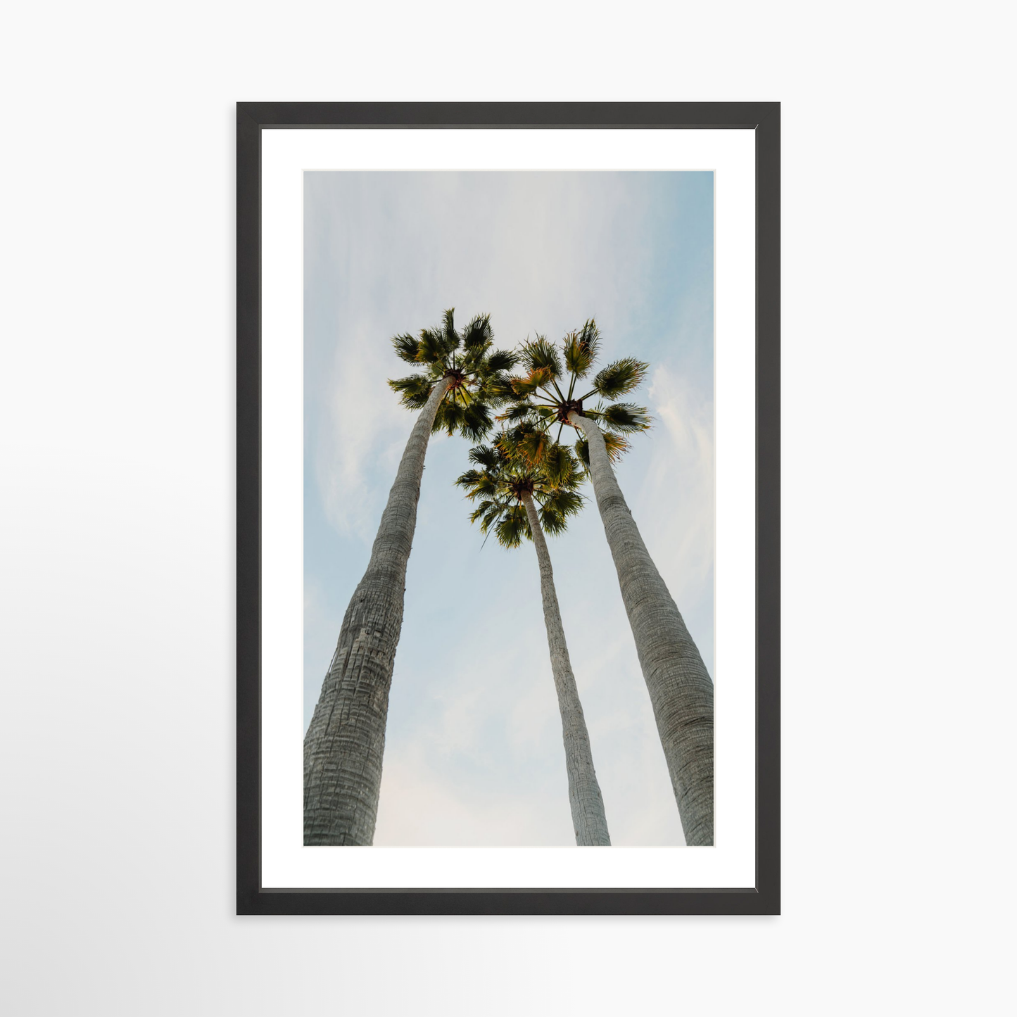 Medium 24 x 36 / Black