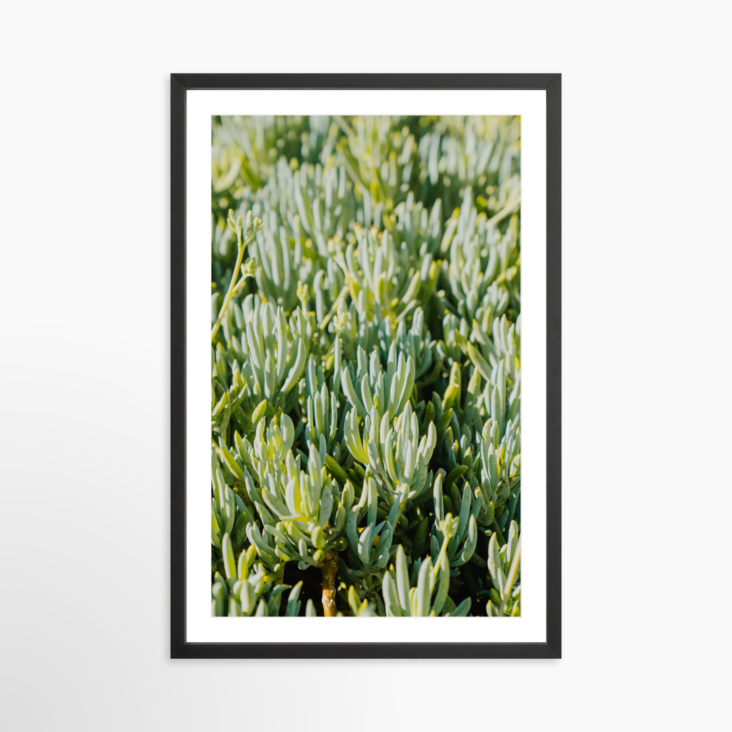 Small 20 x 30 / Black