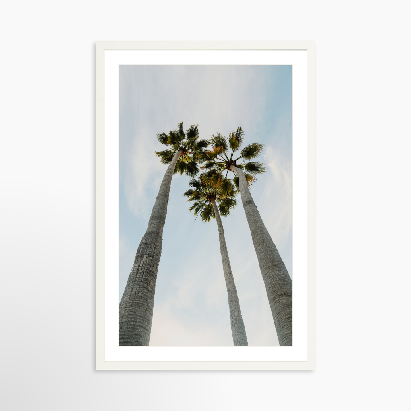 Small 20 x 30 / White