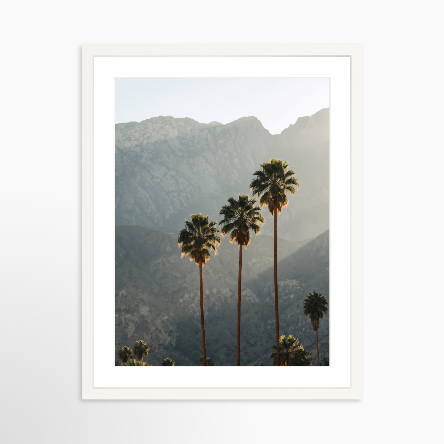 24 x 30 / White