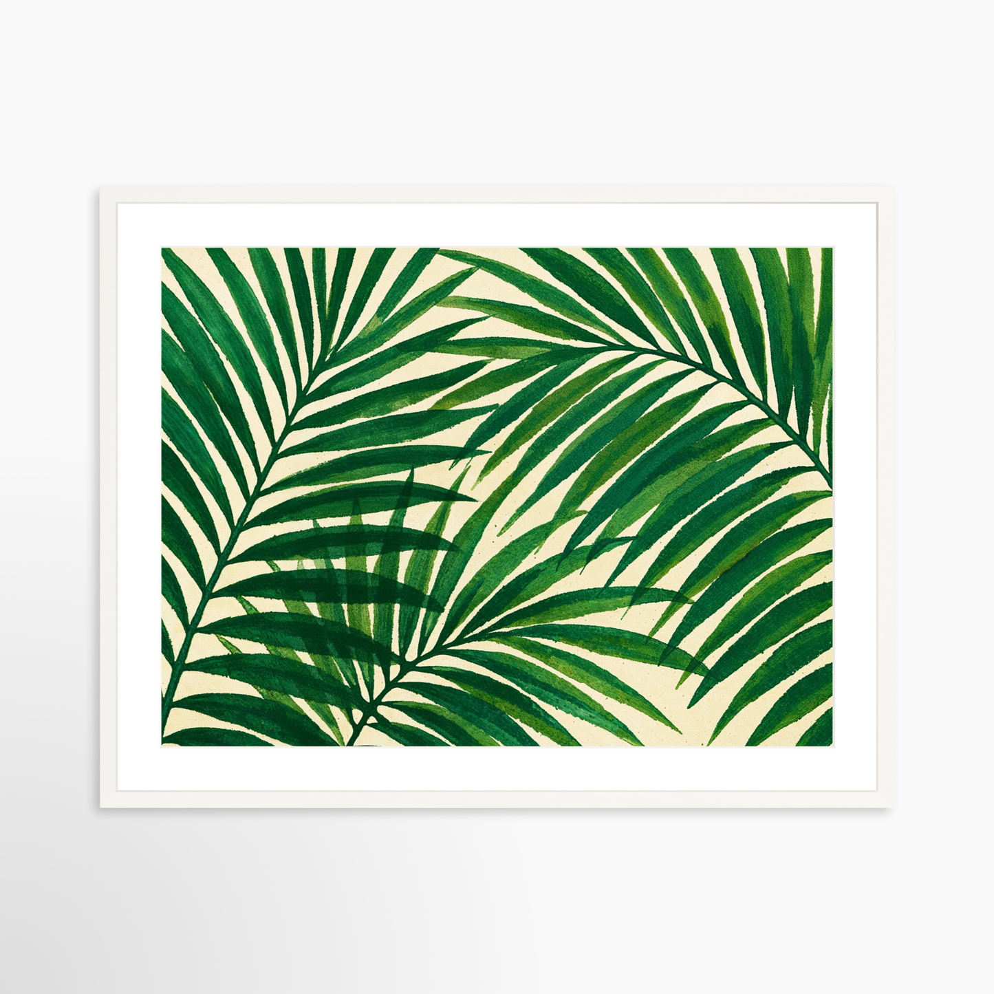 Gallery 46 x 38 / White