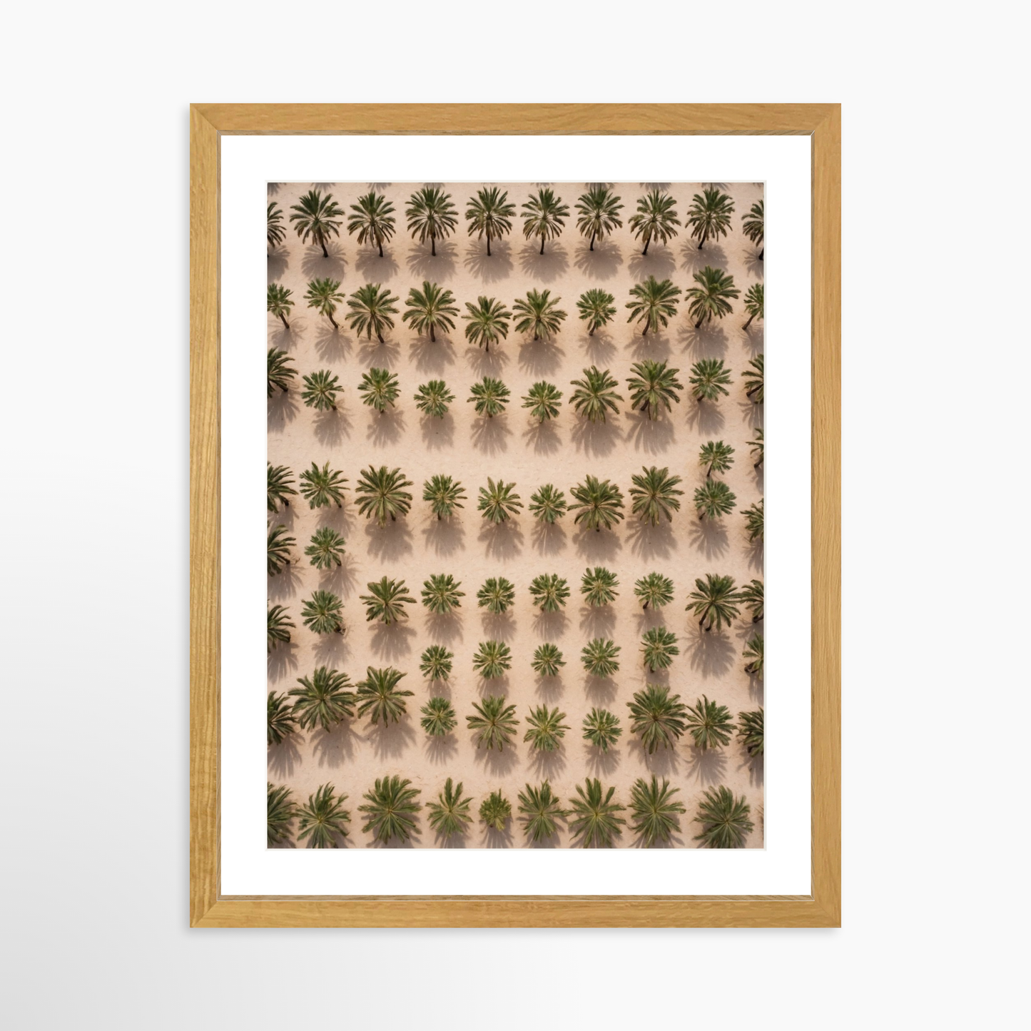 24 x 30 / Oak