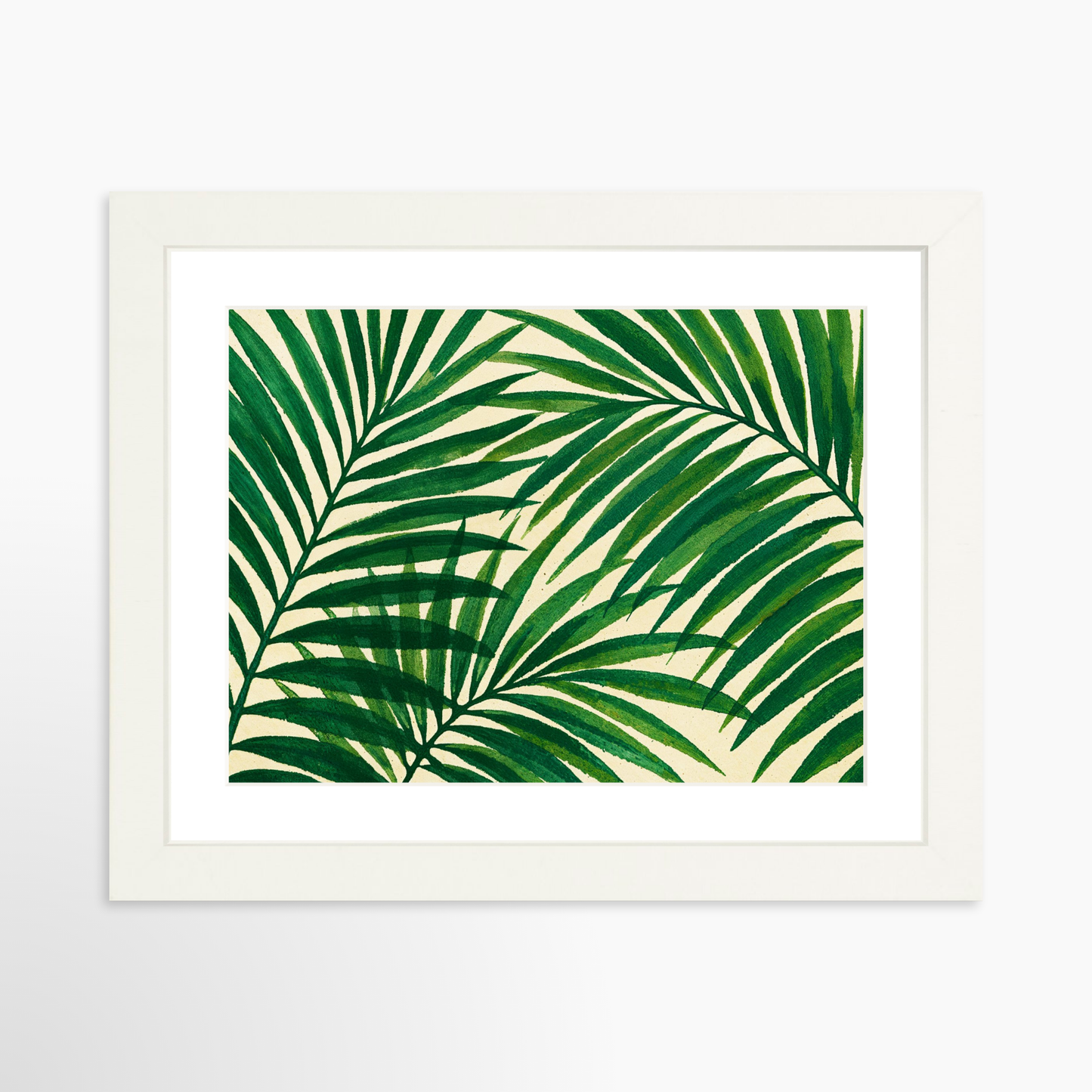 12 x 9 / White
