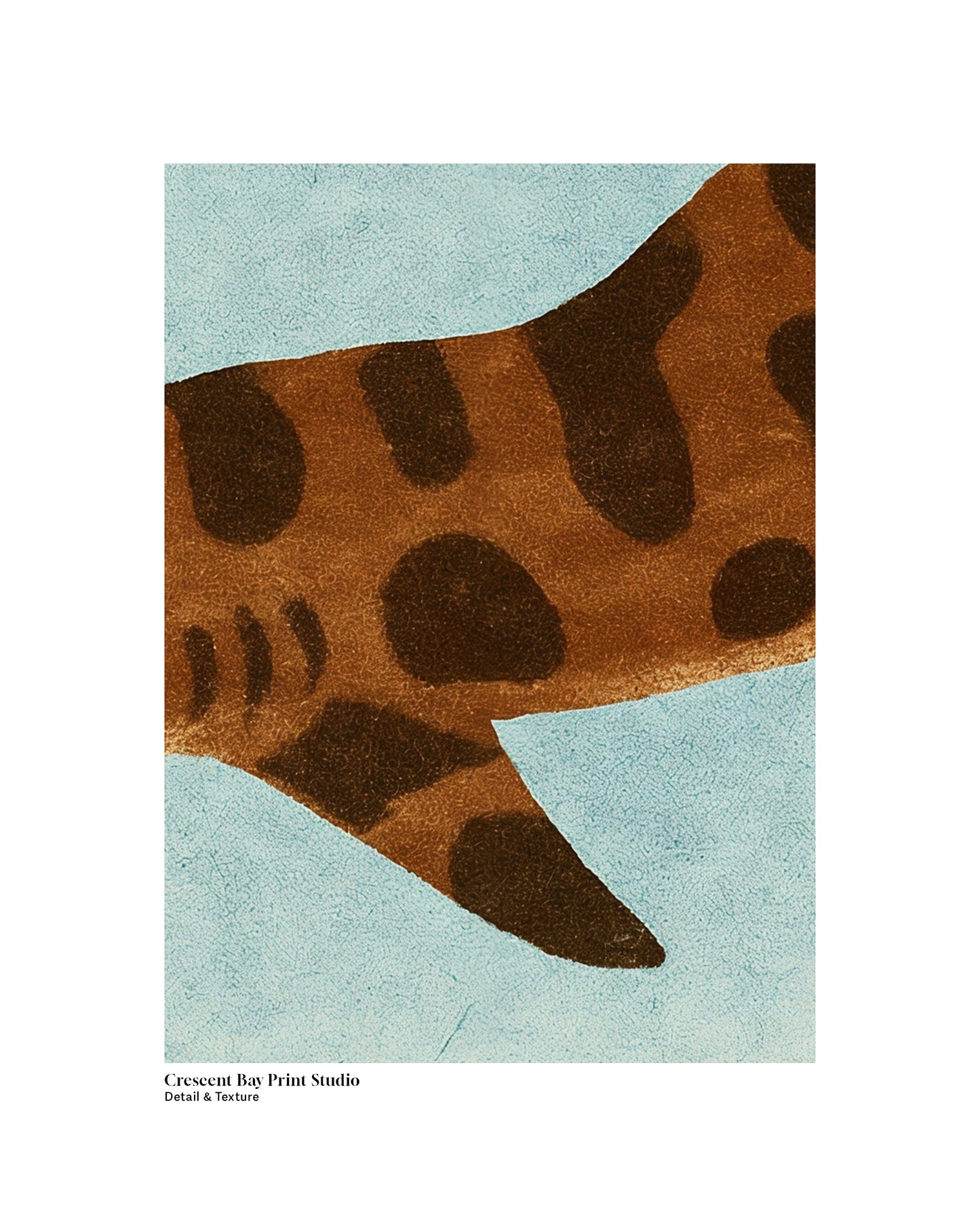 Leopard Sharks