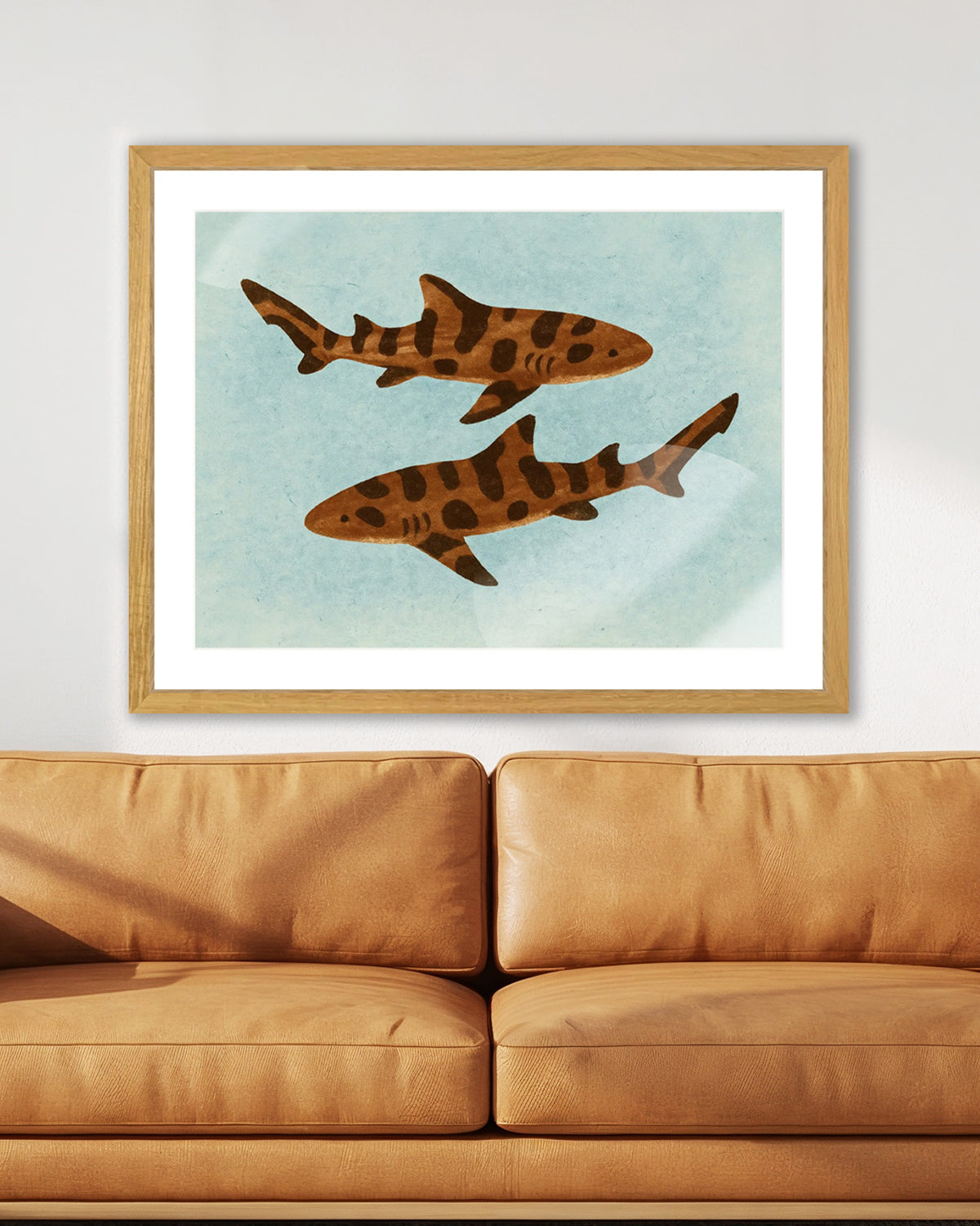 Leopard Sharks